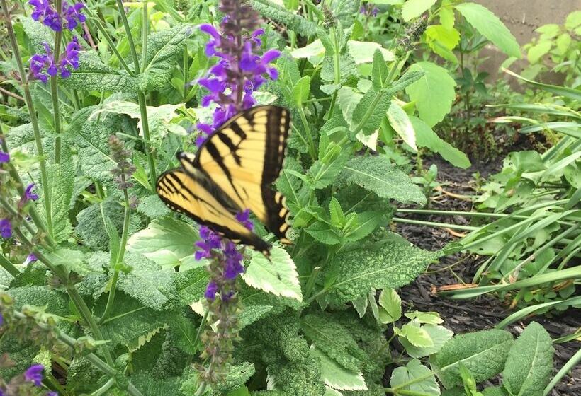 בית מלון כפרי The Vermont Inn