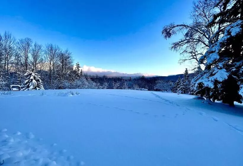 酒店 The Vermont Inn