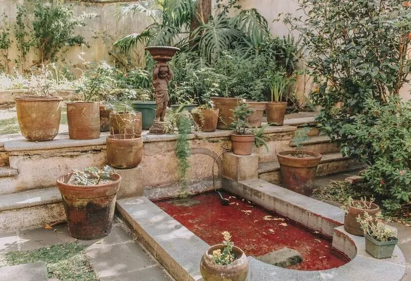 Casa Carmel Bed & Breakfast