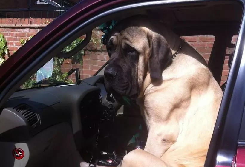 Отель Castle Farmhouse B & B