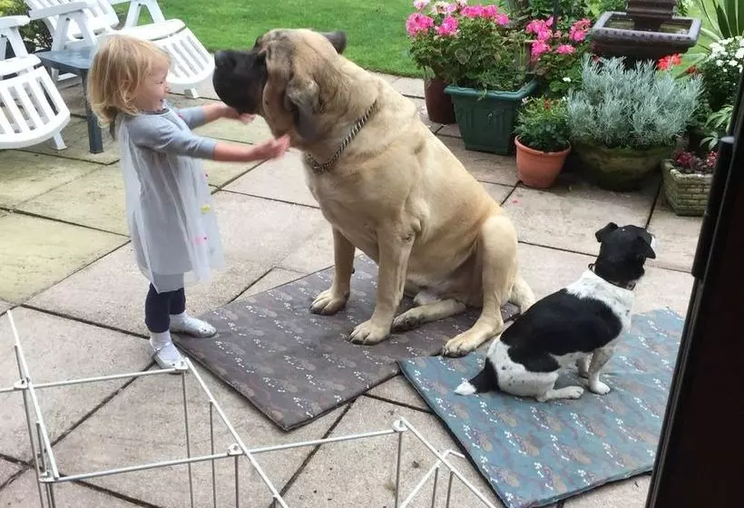 Отель Castle Farmhouse B & B