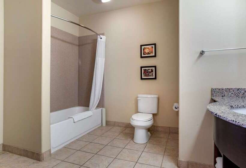 فندق Comfort Inn & Suites Scott West Lafayette