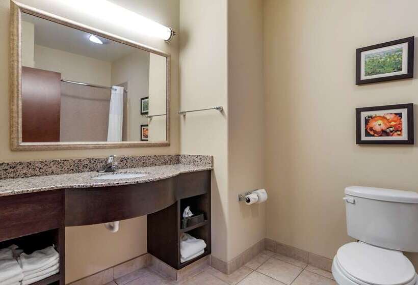 فندق Comfort Inn & Suites Scott West Lafayette