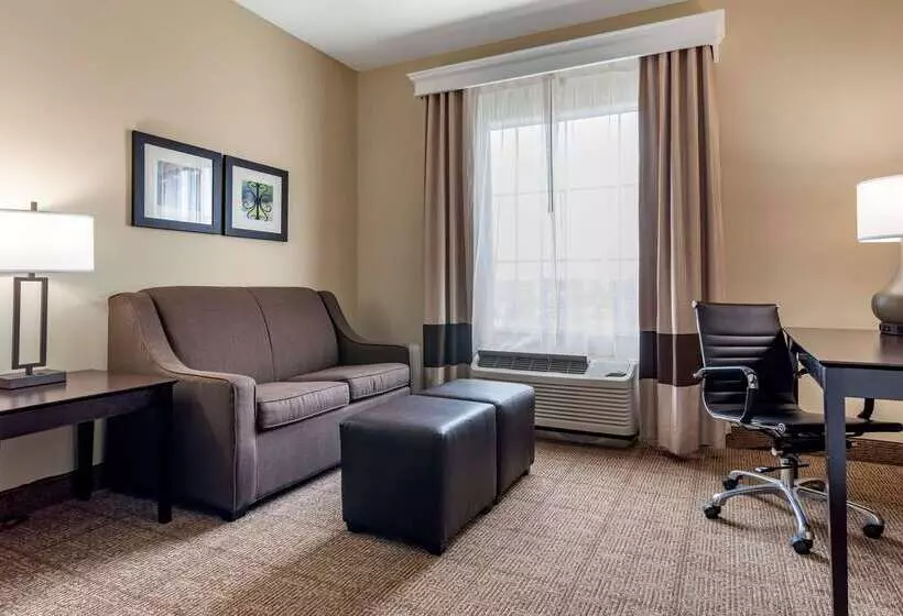 فندق Comfort Inn & Suites Scott West Lafayette