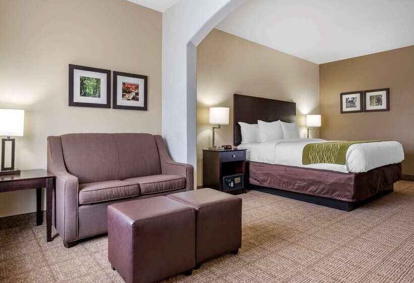 فندق Comfort Inn & Suites Scott West Lafayette