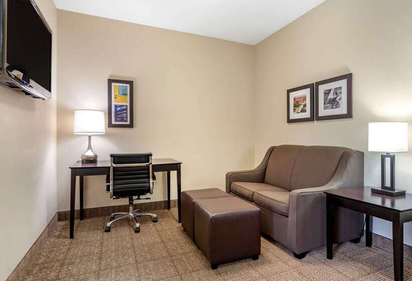 فندق Comfort Inn & Suites Scott West Lafayette