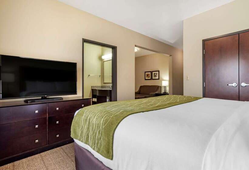 فندق Comfort Inn & Suites Scott West Lafayette