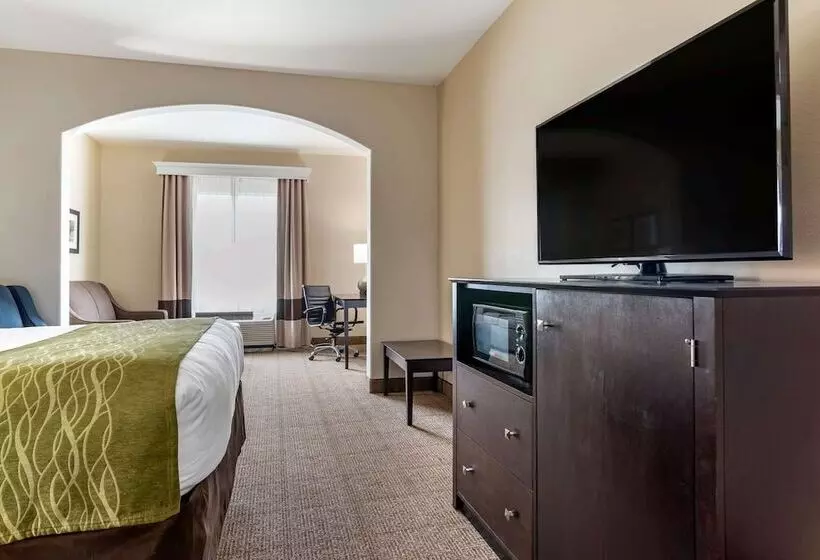 فندق Comfort Inn & Suites Scott West Lafayette