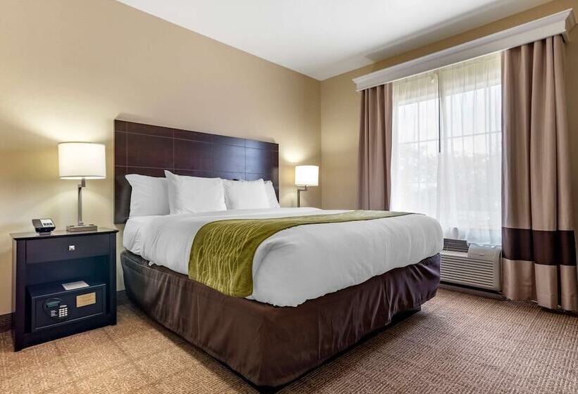 فندق Comfort Inn & Suites Scott West Lafayette