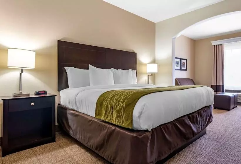 فندق Comfort Inn & Suites Scott West Lafayette