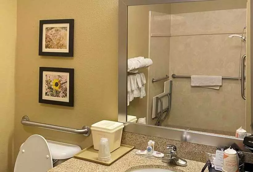 酒店 Comfort Inn & Suites Monahans I20