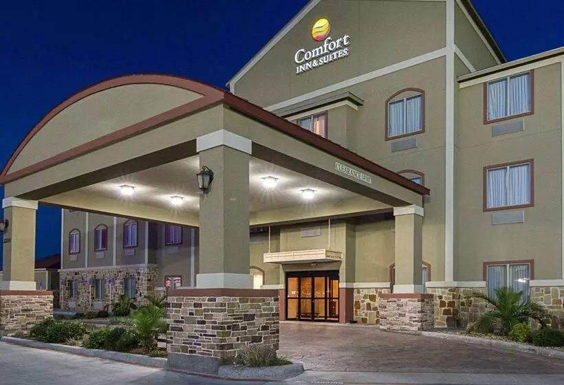 酒店 Comfort Inn & Suites Monahans I20