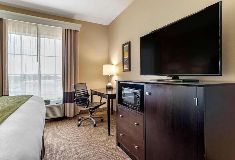 فندق Comfort Inn & Suites Scott West Lafayette