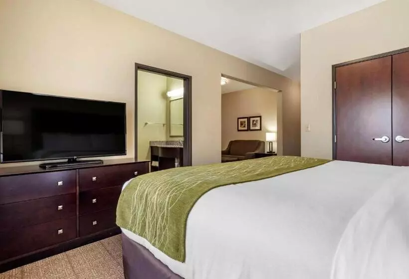 فندق Comfort Inn & Suites Scott West Lafayette