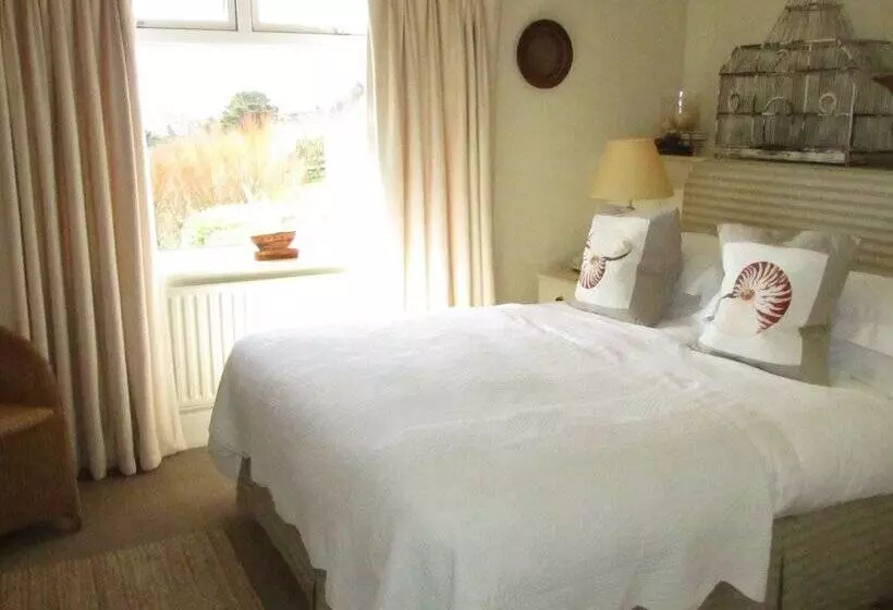 Hotel Driftwood