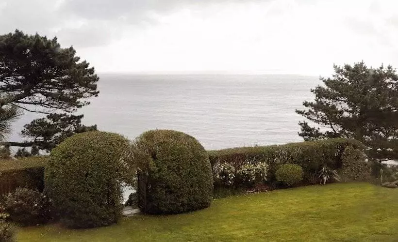 Hotel Driftwood