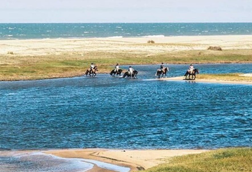 ホテル La Viuda De Jose Ignacio