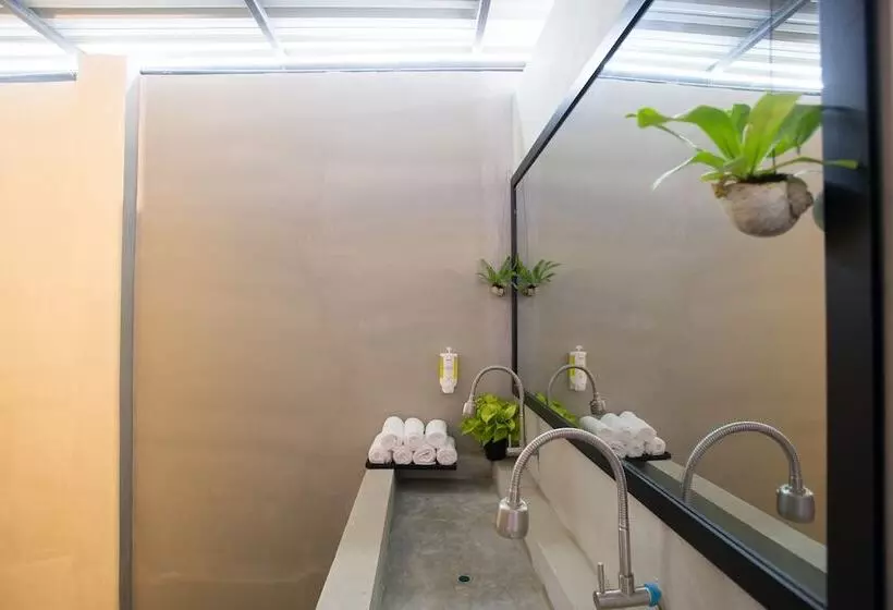 هتل White Rabbit Hostel