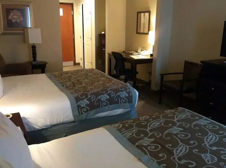 호텔 Wingate By Wyndham New Braunfels