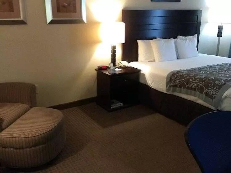 호텔 Wingate By Wyndham New Braunfels