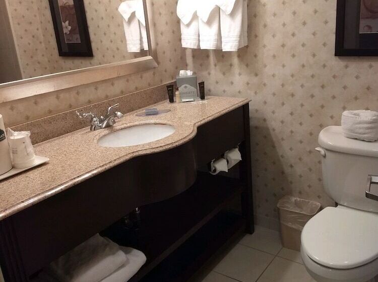 Отель Wingate By Wyndham New Braunfels