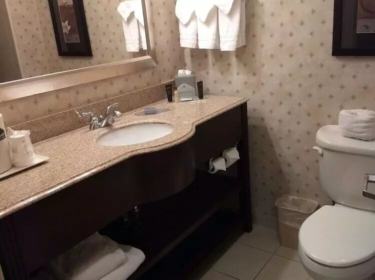 호텔 Wingate By Wyndham New Braunfels