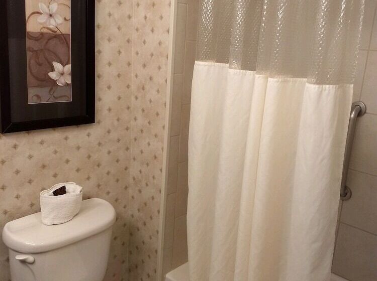 Отель Wingate By Wyndham New Braunfels