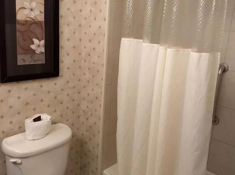 호텔 Wingate By Wyndham New Braunfels