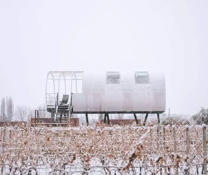 Otel Entre Cielos Wine & Wellness