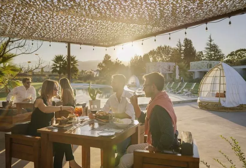 Otel Entre Cielos Wine & Wellness