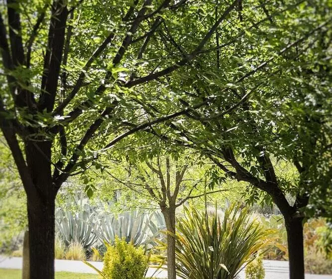 Otel Entre Cielos Wine & Wellness