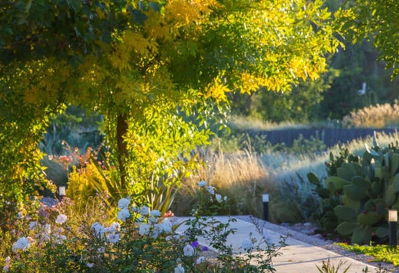 Hotel Entre Cielos Wine & Wellness