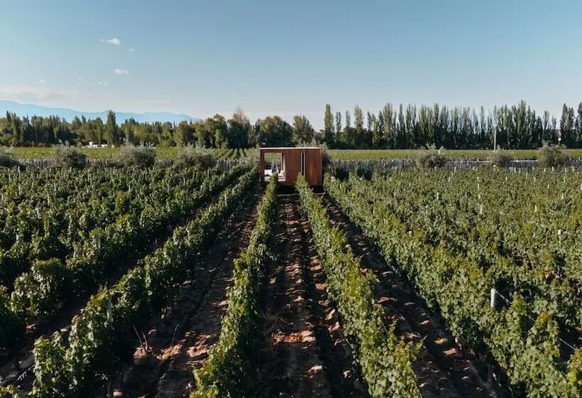 Otel Entre Cielos Wine & Wellness