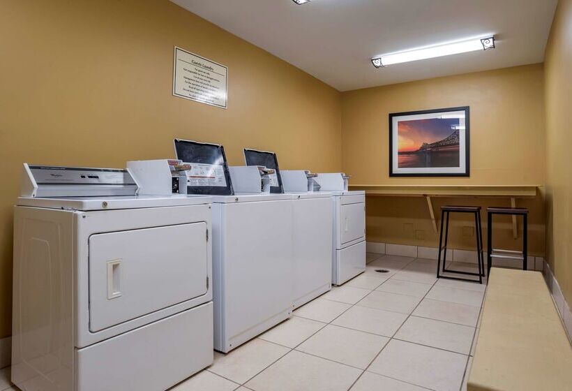 酒店 Best Western St. Francisville