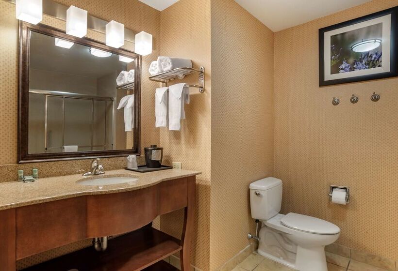 酒店 Best Western St. Francisville