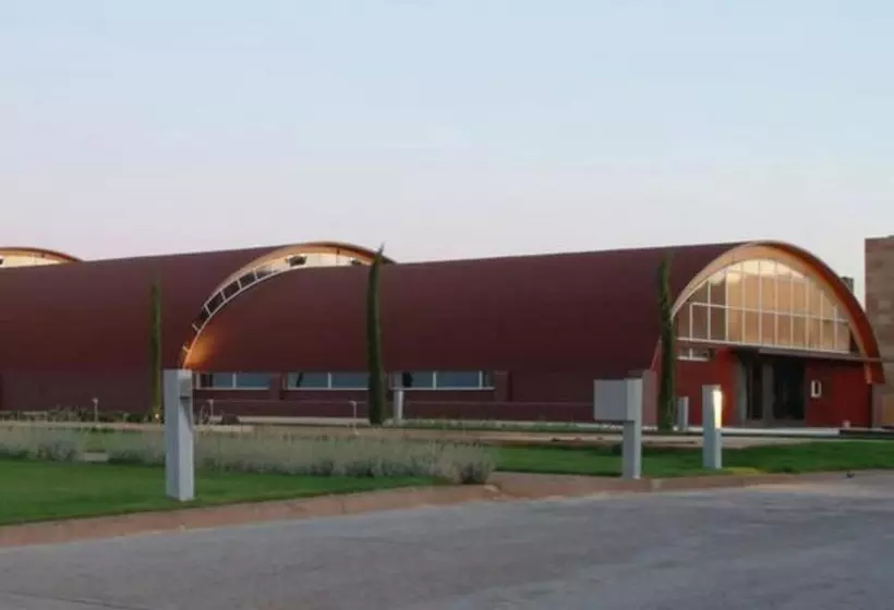 Отель Bodega Pago Del Vicario