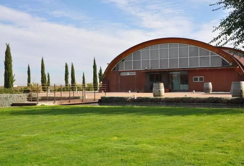 Отель Bodega Pago Del Vicario