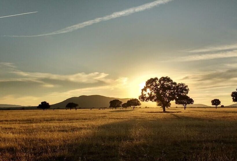 酒店 Bodega Pago Del Vicario