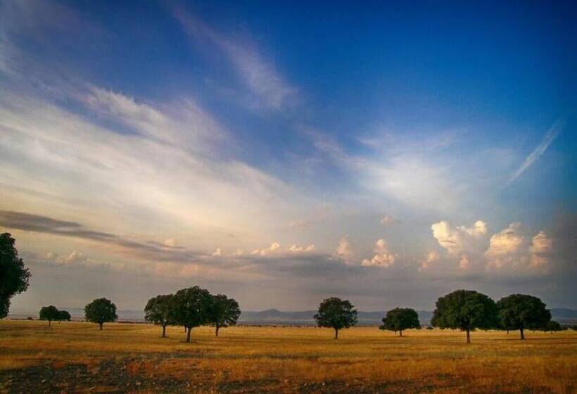 酒店 Bodega Pago Del Vicario