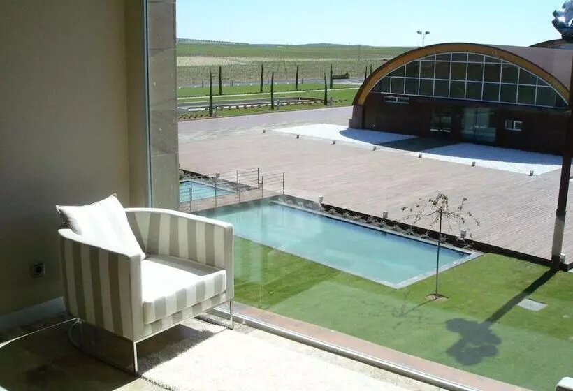 Отель Bodega Pago Del Vicario