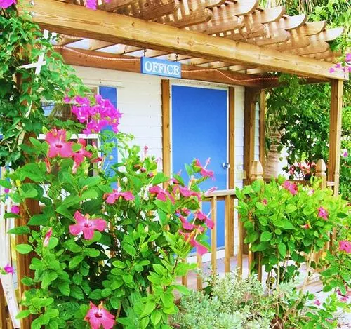 فندق Seashell Beach Resort