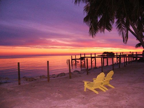 فندق Seashell Beach Resort