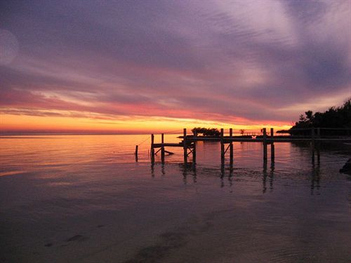 فندق Seashell Beach Resort