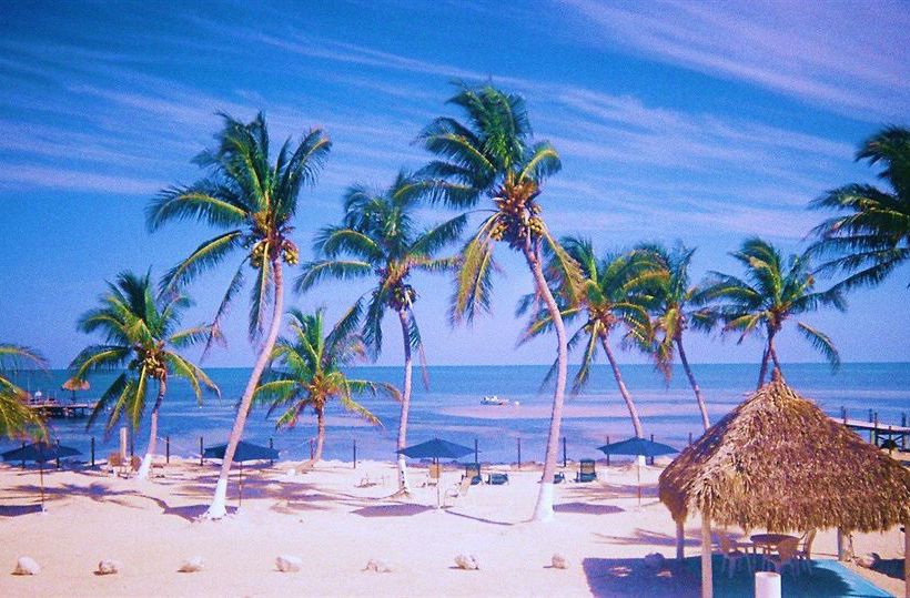 فندق Seashell Beach Resort