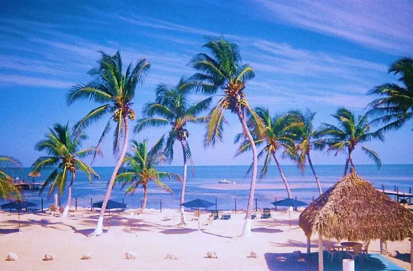 فندق Seashell Beach Resort