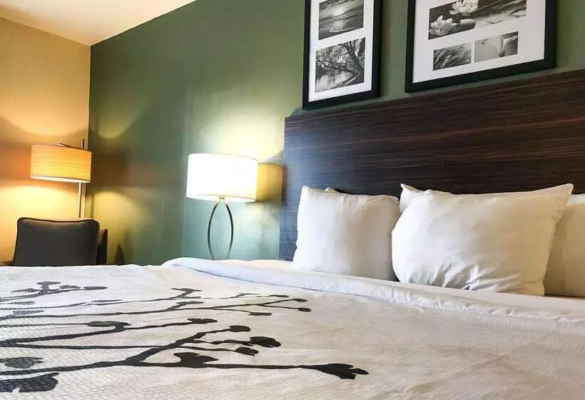 Hotel Spark By Hilton Shepherdsville Louisville South