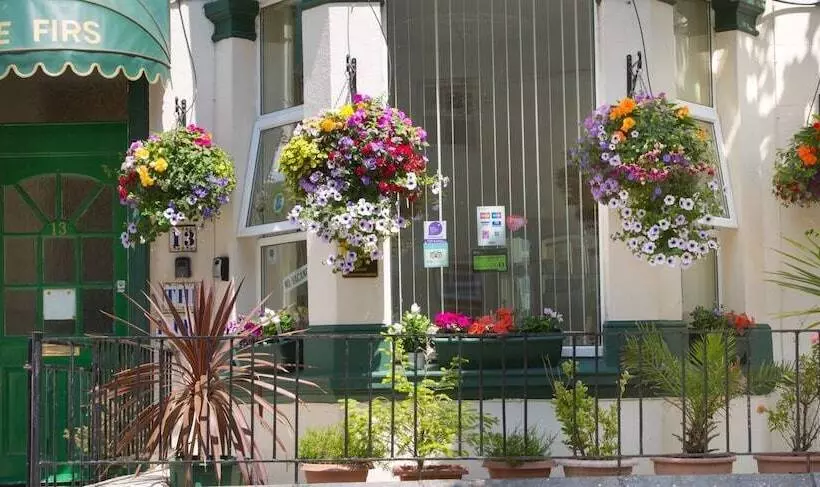 هتل The Firs Bed And Breakfast