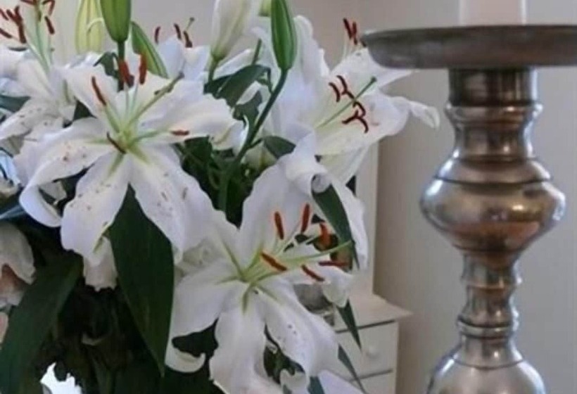 فندق The Merchant House