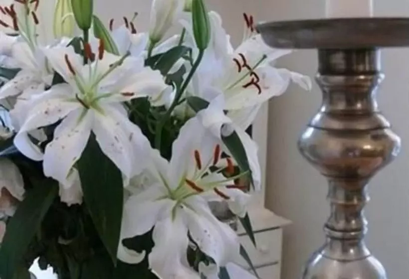 Hotel The Merchant House