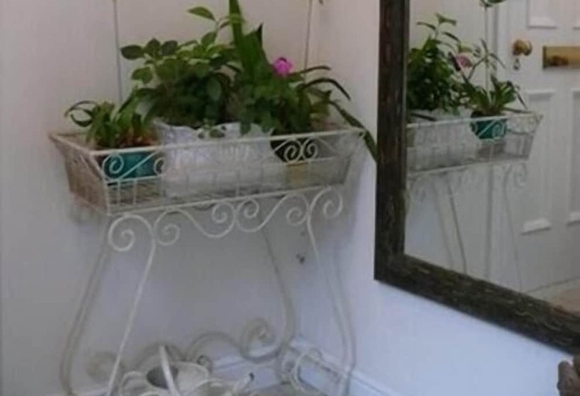 فندق The Merchant House